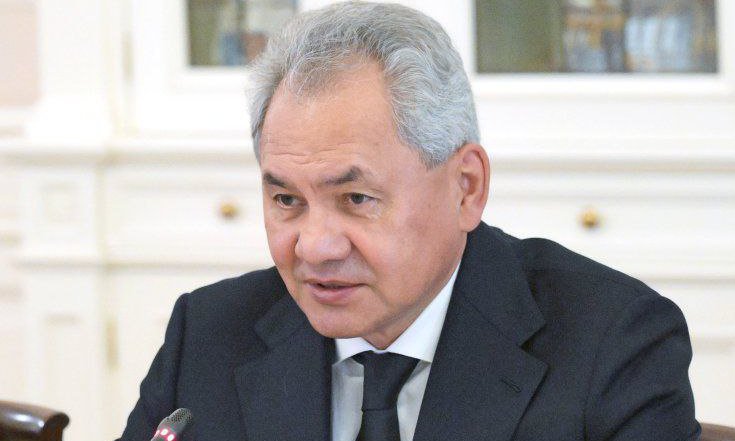 Статья С.К. Шойгу