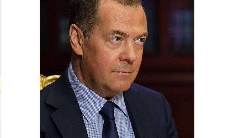 Статья Медведева